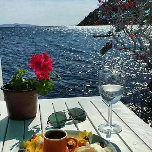 Meet your Posher, Judy